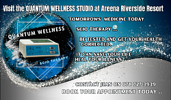 Logo and business card